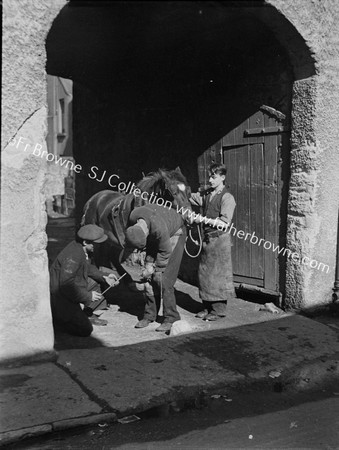 BLACKSMITH SHOEING HORSE